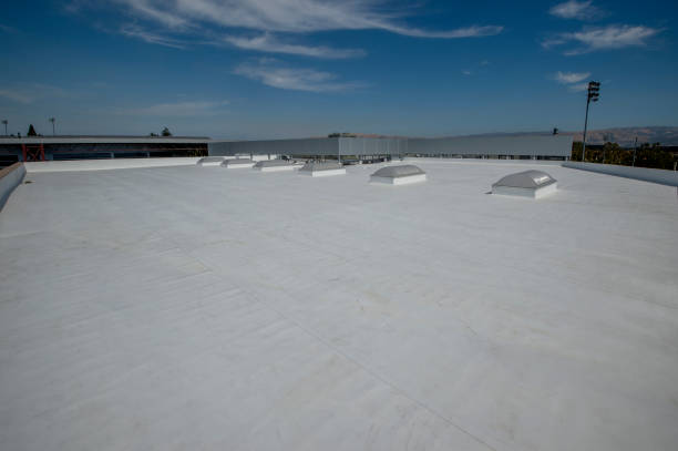 Best Rubber Roofing (EPDM, TPO)  in Sumter, SC